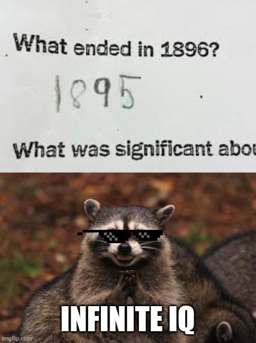Wow this kid is so smart ? | INFINITE IQ | image tagged in evil genius racoon | made w/ Imgflip meme maker