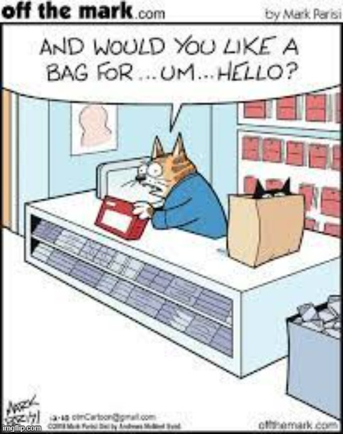 image tagged in memes,comics,cats,shopping,bag,hello | made w/ Imgflip meme maker
