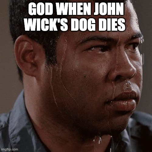 Sweaty tryhard | GOD WHEN JOHN WICK'S DOG DIES | image tagged in sweaty tryhard | made w/ Imgflip meme maker