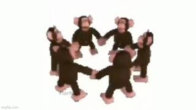 Spinning monke pic | image tagged in spinning monke pic | made w/ Imgflip meme maker