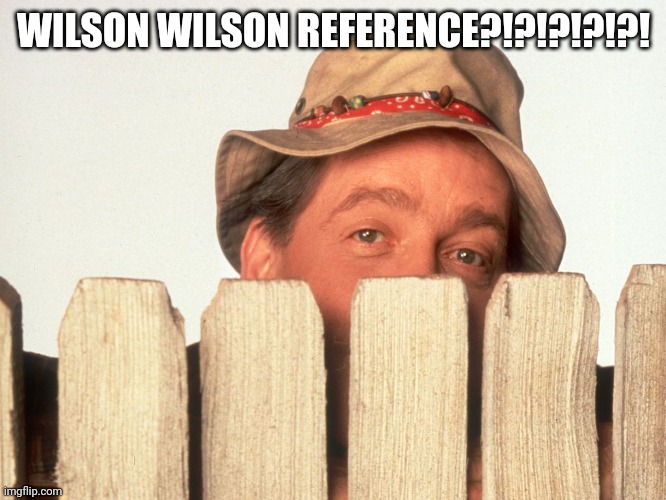 Wilson Home Improvement | WILSON WILSON REFERENCE?!?!?!?!?! | image tagged in wilson home improvement | made w/ Imgflip meme maker