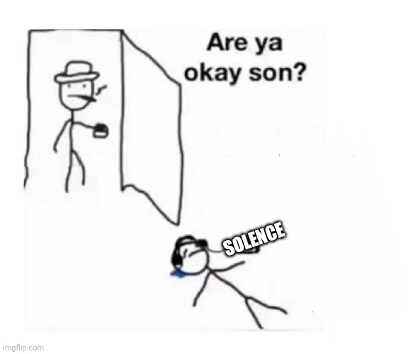 Are you ok son | SOLENCE | image tagged in are you ok son | made w/ Imgflip meme maker