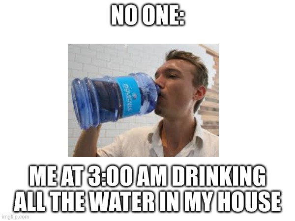 water | NO ONE:; ME AT 3:OO AM DRINKING ALL THE WATER IN MY HOUSE | image tagged in funny memes | made w/ Imgflip meme maker