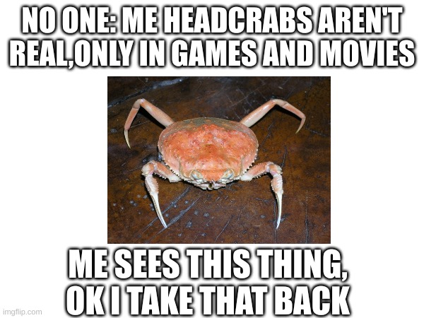 headcrab meme | NO ONE: ME HEADCRABS AREN'T REAL,ONLY IN GAMES AND MOVIES; ME SEES THIS THING, OK I TAKE THAT BACK | image tagged in half life | made w/ Imgflip meme maker