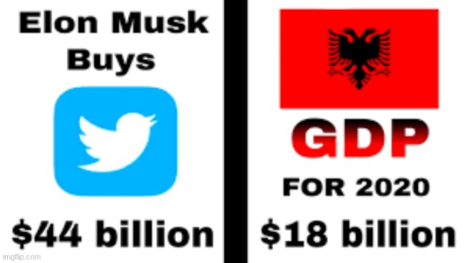 Elon musk could've bought a country! | image tagged in elon musk,twitter,albania | made w/ Imgflip meme maker