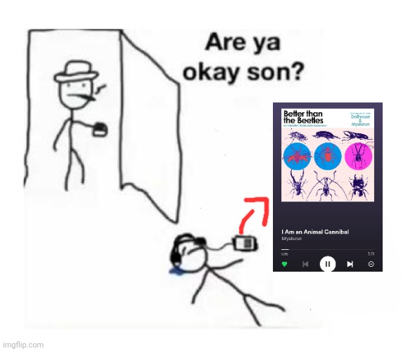 Are you ok son | image tagged in are you ok son | made w/ Imgflip meme maker