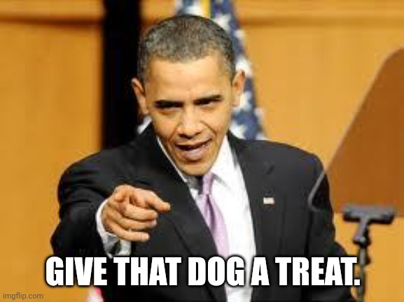 Give that man a medal | GIVE THAT DOG A TREAT. | image tagged in give that man a medal | made w/ Imgflip meme maker
