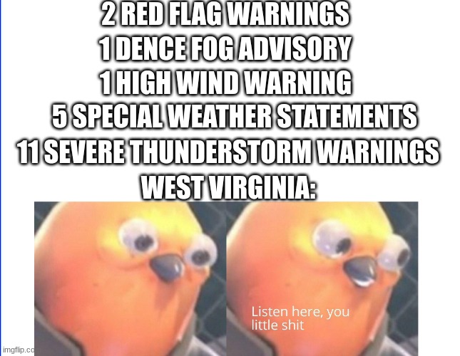 West Virginia with severe weather | 2 RED FLAG WARNINGS; 1 DENCE FOG ADVISORY; 1 HIGH WIND WARNING; 5 SPECIAL WEATHER STATEMENTS; 11 SEVERE THUNDERSTORM WARNINGS; WEST VIRGINIA: | image tagged in listen here you little shit,2022,real,severe | made w/ Imgflip meme maker