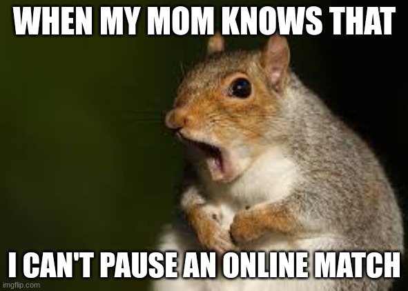 This almost never happens | WHEN MY MOM KNOWS THAT; I CAN'T PAUSE AN ONLINE MATCH | image tagged in surprised squirrel | made w/ Imgflip meme maker