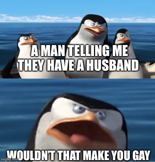 Penguins | A MAN TELLING ME THEY HAVE A HUSBAND; WOULDN’T THAT MAKE YOU GAY | image tagged in penguins,penguins of madagascar | made w/ Imgflip meme maker