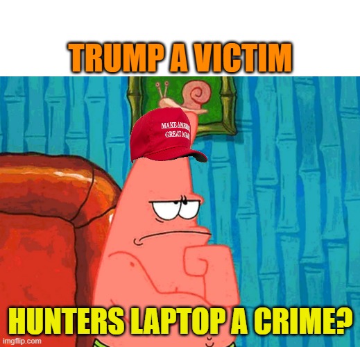 Patrick Star Thinking | TRUMP A VICTIM HUNTERS LAPTOP A CRIME? | image tagged in patrick star thinking | made w/ Imgflip meme maker