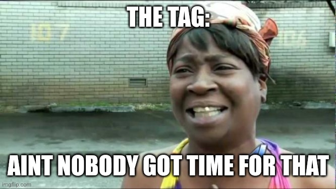 Ain't nobody got time for that. | THE TAG: AINT NOBODY GOT TIME FOR THAT | image tagged in ain't nobody got time for that | made w/ Imgflip meme maker