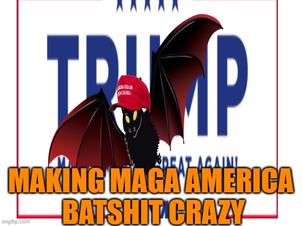 MAKING MAGA AMERICA
 BATSHIT CRAZY | made w/ Imgflip meme maker