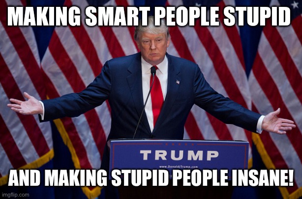Donald Trump | MAKING SMART PEOPLE STUPID AND MAKING STUPID PEOPLE INSANE! | image tagged in donald trump | made w/ Imgflip meme maker