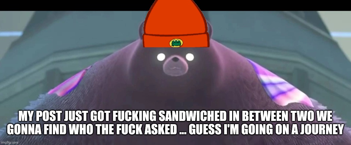 ADVENTURE AWAITS | MY POST JUST GOT FUCKING SANDWICHED IN BETWEEN TWO WE GONNA FIND WHO THE FUCK ASKED ... GUESS I'M GOING ON A JOURNEY | image tagged in mr grizz | made w/ Imgflip meme maker