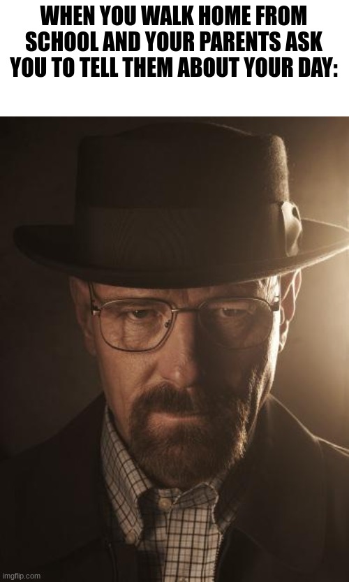 Walter White | WHEN YOU WALK HOME FROM SCHOOL AND YOUR PARENTS ASK YOU TO TELL THEM ABOUT YOUR DAY: | image tagged in walter white | made w/ Imgflip meme maker