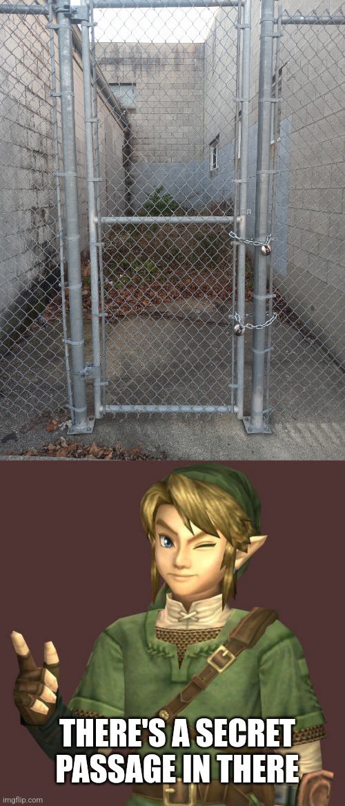 THEY HIDING SOMETHING IN THERE | THERE'S A SECRET PASSAGE IN THERE | image tagged in zelda,secret,wtf | made w/ Imgflip meme maker