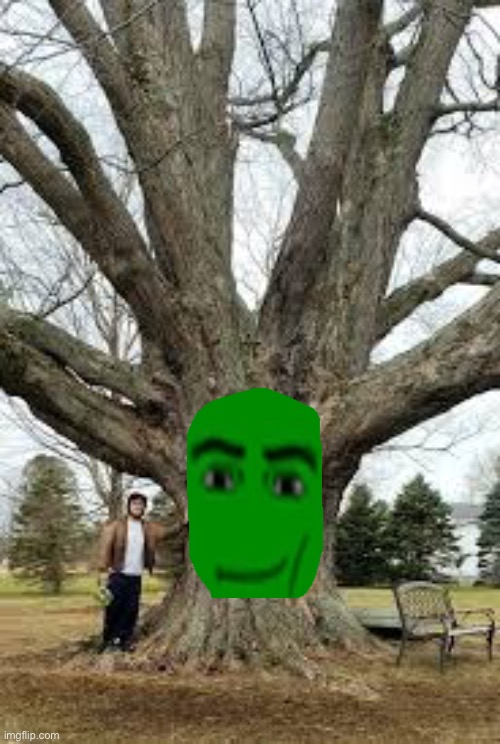Trees in Ohio | made w/ Imgflip meme maker