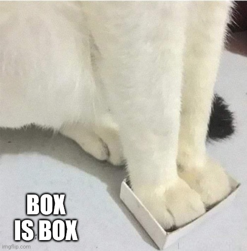 IF IT FITS, IT SITS | BOX IS BOX | image tagged in cats,funny cats | made w/ Imgflip meme maker