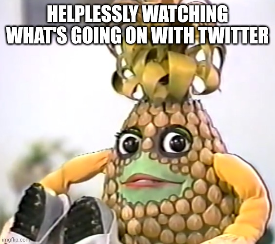 Ananas eyes wide | HELPLESSLY WATCHING WHAT'S GOING ON WITH TWITTER | image tagged in ananas eyes wide | made w/ Imgflip meme maker