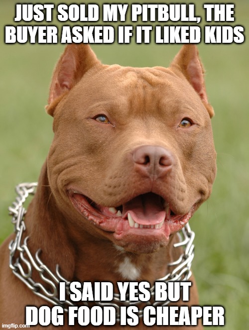 Hungry Dog | JUST SOLD MY PITBULL, THE BUYER ASKED IF IT LIKED KIDS; I SAID YES BUT DOG FOOD IS CHEAPER | image tagged in pitbull | made w/ Imgflip meme maker