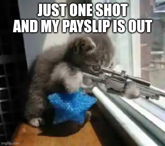 CatSniper | JUST ONE SHOT AND MY PAYSLIP IS OUT | image tagged in catsniper | made w/ Imgflip meme maker
