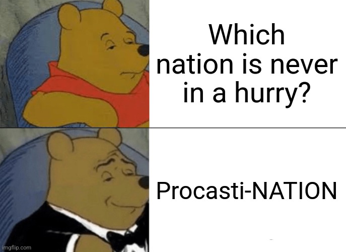 Dad Jokes | Which nation is never in a hurry? Procasti-NATION | image tagged in memes,tuxedo winnie the pooh,procrastination | made w/ Imgflip meme maker