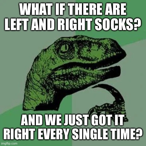 Hrm | WHAT IF THERE ARE LEFT AND RIGHT SOCKS? AND WE JUST GOT IT RIGHT EVERY SINGLE TIME? | image tagged in raptor asking questions | made w/ Imgflip meme maker