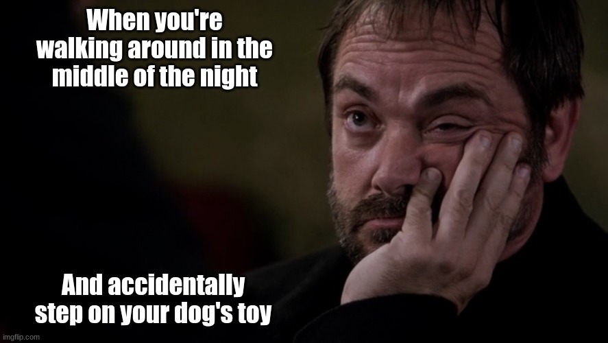 dog's toy | When you're walking around in the middle of the night; And accidentally step on your dog's toy | image tagged in crowley annoyed supernatural | made w/ Imgflip meme maker