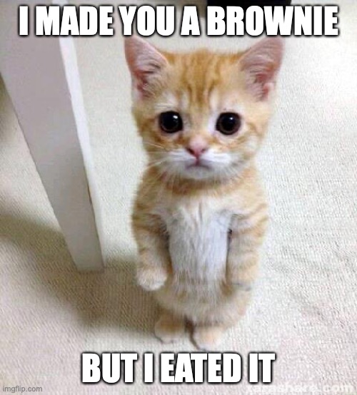 Cute Cat Meme | I MADE YOU A BROWNIE; BUT I EATED IT | image tagged in memes,cute cat | made w/ Imgflip meme maker