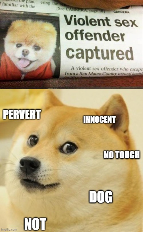 Dogiminal | PERVERT; INNOCENT; NO TOUCH; DOG; NOT | image tagged in memes,doge | made w/ Imgflip meme maker