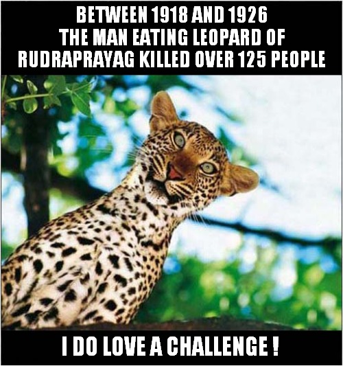 Photographers Last Photo ! | BETWEEN 1918 AND 1926 THE MAN EATING LEOPARD OF RUDRAPRAYAG KILLED OVER 125 PEOPLE; I DO LOVE A CHALLENGE ! | image tagged in photographer,killer,leopard,challenge,dark humour | made w/ Imgflip meme maker