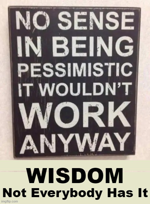 The optimist invents the airplane, the pessimist the parachute. | WISDOM; Not Everybody Has It | image tagged in fun,funny because it's true,the truth,optimist,pessimist,imgflip humor | made w/ Imgflip meme maker