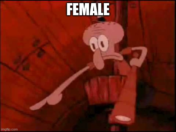 Squidward pointing | FEMALE | image tagged in squidward pointing | made w/ Imgflip meme maker