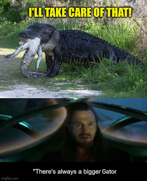 I'LL TAKE CARE OF THAT! Gator | image tagged in croc eating gator,there s always a bigger fish | made w/ Imgflip meme maker