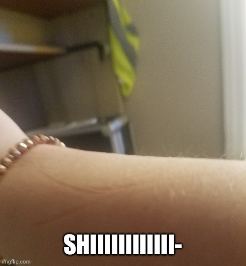 SHIIIIIIIIIIII- | made w/ Imgflip meme maker