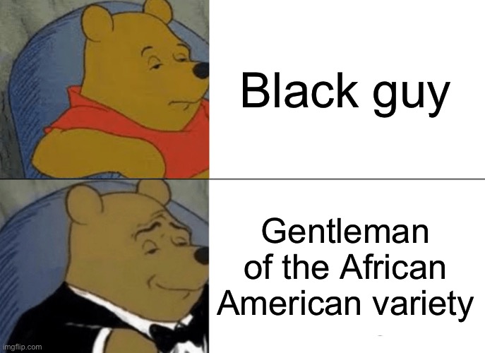 Tuxedo Winnie The Pooh | Black guy; Gentleman of the African American variety | image tagged in memes,tuxedo winnie the pooh | made w/ Imgflip meme maker