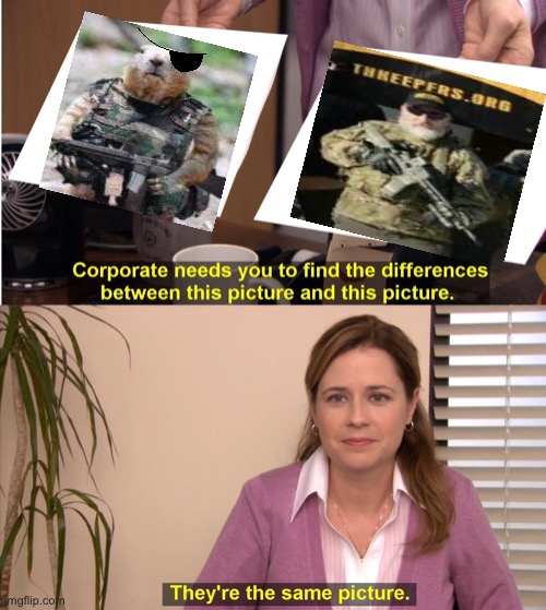 They're The Same Picture Meme | image tagged in memes,they're the same picture | made w/ Imgflip meme maker