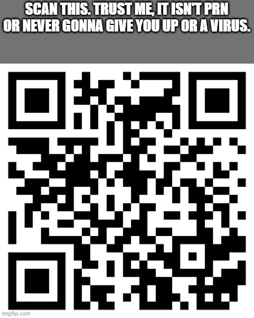 SCAN THIS. TRUST ME, IT ISN'T PRN OR NEVER GONNA GIVE YOU UP OR A VIRUS. | made w/ Imgflip meme maker