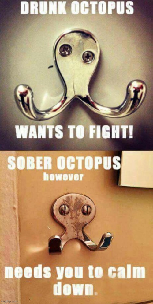 image tagged in octopus | made w/ Imgflip meme maker