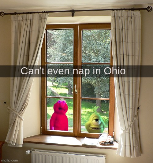 Can't even nap in Ohio | Can't even nap in Ohio | image tagged in ohio,elmo,mike wazowski grinch | made w/ Imgflip meme maker
