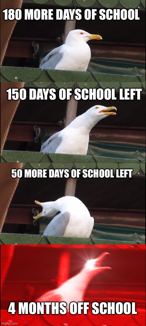 Inhaling Seagull | 180 MORE DAYS OF SCHOOL; 150 DAYS OF SCHOOL LEFT; 50 MORE DAYS OF SCHOOL LEFT; 4 MONTHS OFF SCHOOL | image tagged in memes,inhaling seagull | made w/ Imgflip meme maker