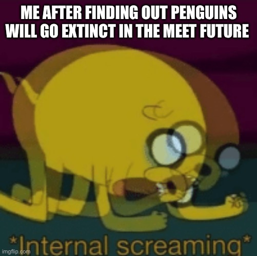 At least we may have them in minecraft | ME AFTER FINDING OUT PENGUINS WILL GO EXTINCT IN THE MEET FUTURE | image tagged in jake the dog internal screaming | made w/ Imgflip meme maker