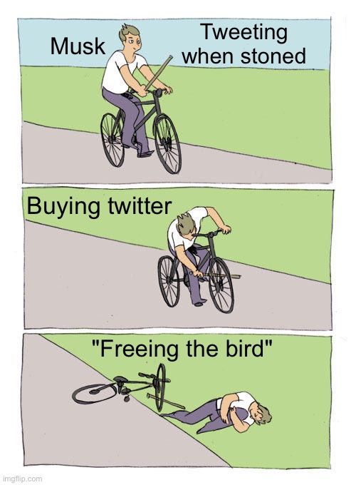 Elon Musk buying twitter, sacking staff and bankrupting it | Tweeting when stoned; Musk; Buying twitter; "Freeing the bird" | image tagged in bike fall,elon musk,twitter,bird site,elon musk buying twitter,elon musk smoking a joint | made w/ Imgflip meme maker