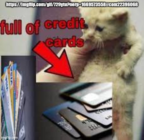 cat full of credit cards | https://imgflip.com/gif/729ytu?nerp=1669573558#com22396068 | image tagged in cat full of credit cards | made w/ Imgflip meme maker