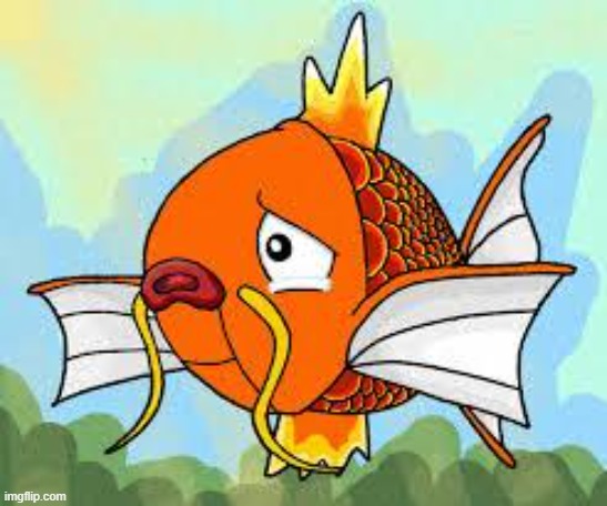 magikarp stahp | image tagged in magikarp stahp | made w/ Imgflip meme maker