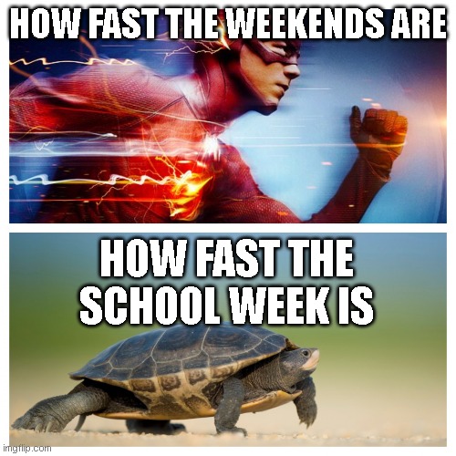 weekends go zooming | HOW FAST THE WEEKENDS ARE; HOW FAST THE SCHOOL WEEK IS | image tagged in fast vs slow,school,weekend | made w/ Imgflip meme maker