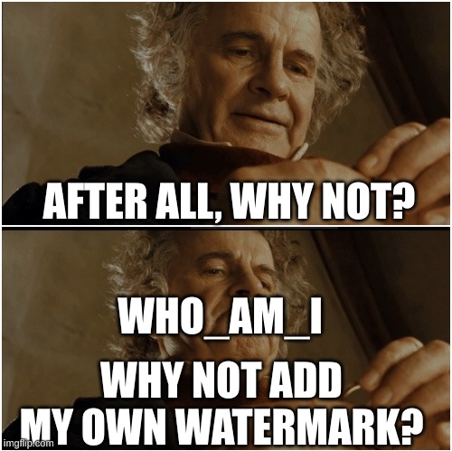 Why do you need it? |  AFTER ALL, WHY NOT? WHO_AM_I; WHY NOT ADD MY OWN WATERMARK? | image tagged in bilbo - why shouldn t i keep it | made w/ Imgflip meme maker