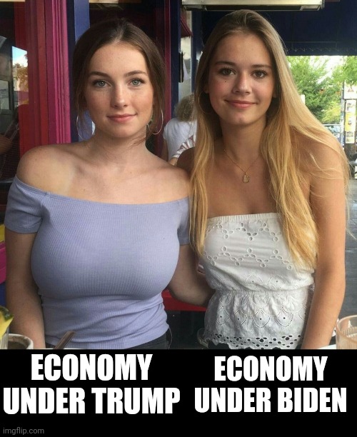 Different size breasts | ECONOMY UNDER TRUMP ECONOMY UNDER BIDEN | image tagged in different size breasts,political meme | made w/ Imgflip meme maker