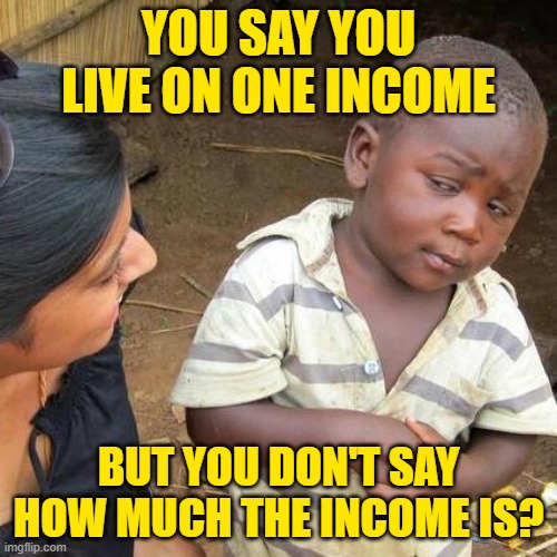 One Income Skeptic | YOU SAY YOU LIVE ON ONE INCOME; BUT YOU DON'T SAY HOW MUCH THE INCOME IS? | image tagged in memes,third world skeptical kid,one income,frugal living,so true memes,skeptical | made w/ Imgflip meme maker